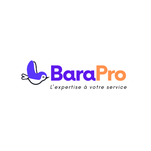 BaraPro logo